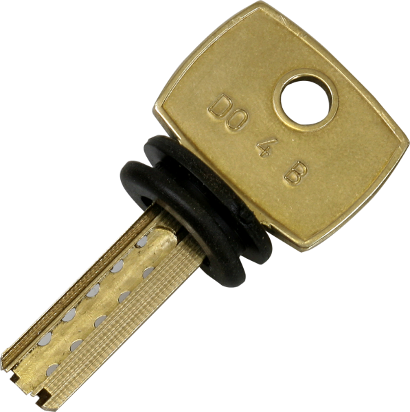 Dimple pin key - bump key - DOM IX / STS - DM 53