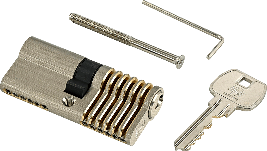 6-pin Euro profile training lock set
