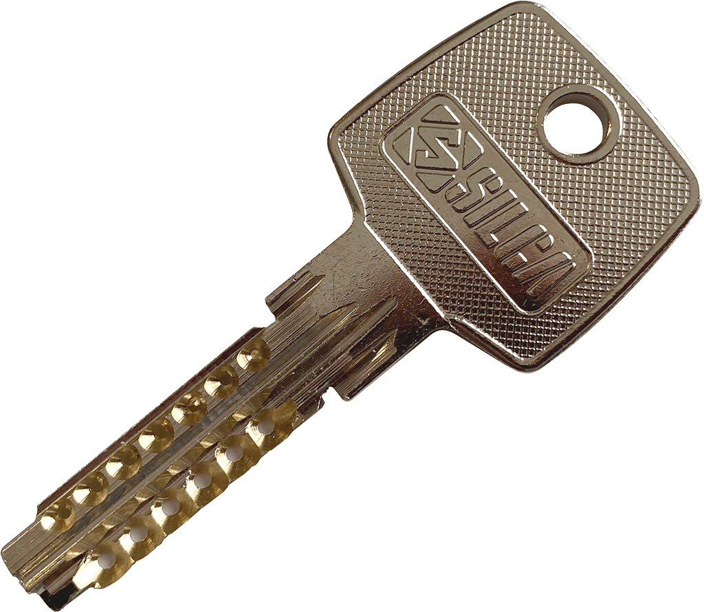 Dimple pin key - bump key - ABUS for EC 550