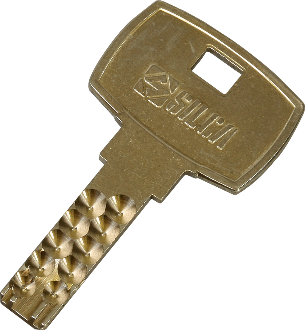 Dimple pin key - bump key - DOM IX - DM22