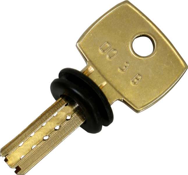Dimple pin key - bump key - DOM IX / STS - DM 49