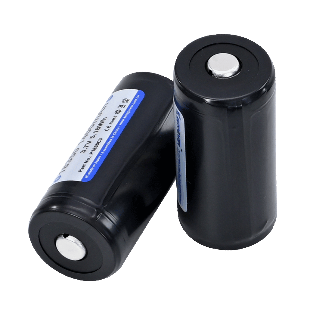 Spare Li-Ion batteries for ARTEMIS EPG (2 pieces)