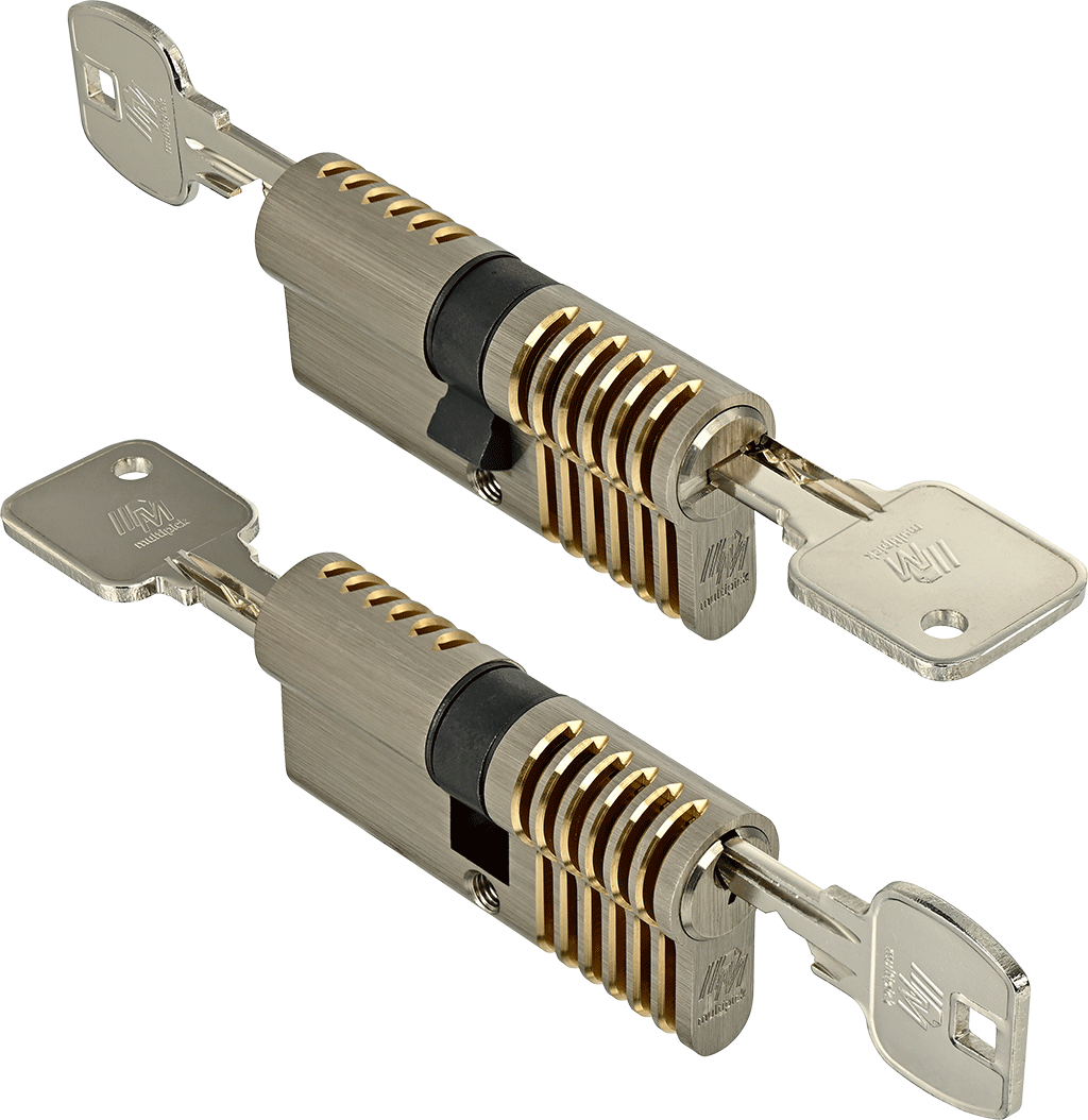 6-pin Dimple/Euro profile combi training lock set